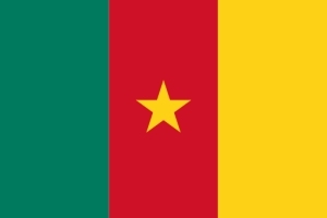 Cameroon flag